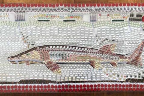 Professional heeft genoeg van ‘wegwerp-zorg’